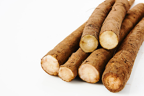 포토 JPG 스튜디오촬영 채소 식재료 단면 실내 건강 근접촬영 사람없음 오브젝트 흰배경 우엉 국내포토 뷰포인트 백그라운드 내부 흰색 파일형식