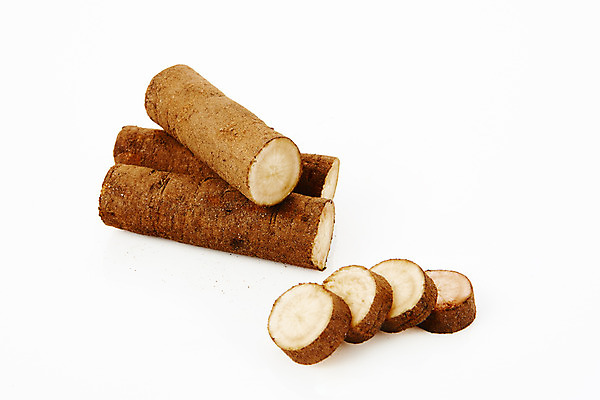 포토 JPG 스튜디오촬영 채소 식재료 단면 실내 건강 사람없음 오브젝트 흰배경 우엉 국내포토 백그라운드 내부 흰색 파일형식