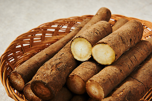 포토 JPG 스튜디오촬영 채소 식재료 단면 실내 건강 근접촬영 사람없음 오브젝트 한지배경 우엉 라탄바구니 국내포토 뷰포인트 백그라운드 내부 바구니 파일형식