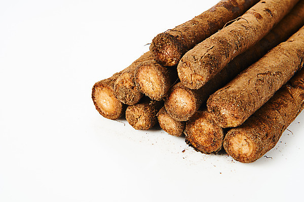 포토 JPG 스튜디오촬영 채소 식재료 실내 건강 사람없음 오브젝트 흰배경 우엉 국내포토 백그라운드 내부 흰색 파일형식