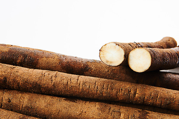 포토 JPG 스튜디오촬영 채소 식재료 단면 실내 건강 근접촬영 사람없음 오브젝트 흰배경 우엉 국내포토 뷰포인트 백그라운드 내부 흰색 파일형식