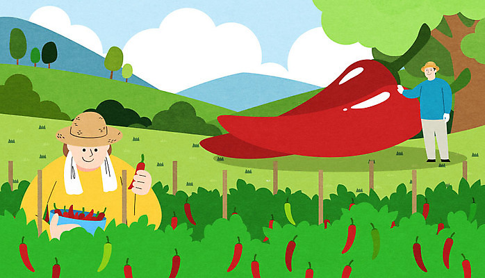 전신 PSD 나무 여자 남자 일러스트 고추 하늘 산 상반신 성인 두명 특산물 고추밭 청양고추 성인만 청양 국내일러스트 식물 밭 채소 사람 충청남도 파일형식