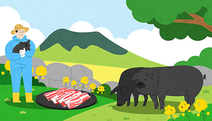 전신 PSD 나무 남자 일러스트 하늘 산 생고기 돼지고기 세마리 한명 성인 제주도 삼겹살 특산물 한라산 제주흑돼지 흑돼지 성인남자한명만 국내일러스트 식물 1 한국 육류 3 사람 돼지 남자한명만 성인남자만 파일형식