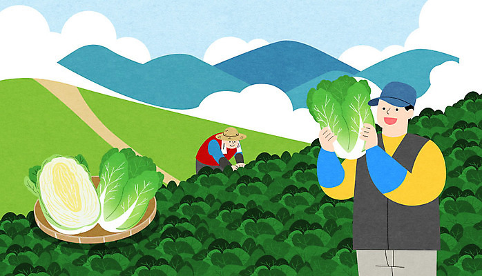 전신 PSD 남자 일러스트 하늘 산 상반신 성인 두명 바구니 수확 배추 특산물 배추밭 성인남자만 고랭지 고랭지배추 국내일러스트 밭 농업 채소 사람 남자만 성인만 파일형식