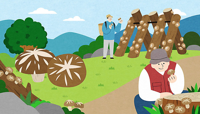 전신 PSD 나무 남자 일러스트 하늘 산 상반신 성인 두명 수확 특산물 표고버섯 양평 성인남자만 국내일러스트 식물 농업 사람 버섯 경기도 남자만 성인만 파일형식