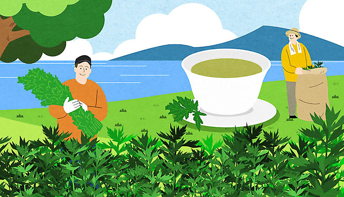 전신 PSD 나무 남자 바다 일러스트 하늘 산 상반신 성인 두명 차 특산물 강화도 쑥 제철 성인남자만 제철음식 약쑥 강화약쑥 국내일러스트 식물 음료 음식 채소 사람 인천 남자만 성인만 파일형식