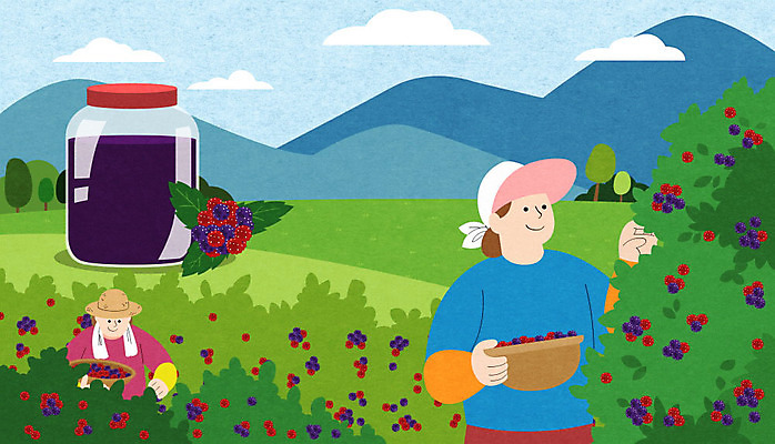 PSD 나무 여자 일러스트 하늘 산 상반신 성인 두명 특산물 고창 복분자 제철 성인여자만 제철음식 고창복분자 국내일러스트 식물 음식 과일 사람 전라북도 여자만 성인만 파일형식