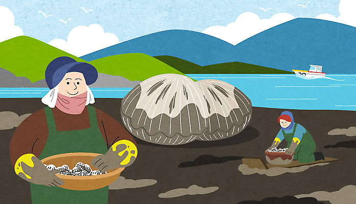 전신 PSD 여자 바다 섬 중년 일러스트 하늘 상반신 두명 특산물 갯벌 꼬막 벌교 선박 중년여자만 벌교꼬막 국내일러스트 수상교통 어패류 사람 성인 전라남도 여자만 중년만 파일형식