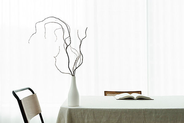 포토 JPG 스튜디오촬영 식물 꽃 의자 탁자 건조 실내 사람없음 인테리어 꽃병 나뭇가지 잡지 오브젝트 흰배경 드라이플라워 국내포토 나무 디자인 가구 백그라운드 내부 간행물 흰색 파일형식