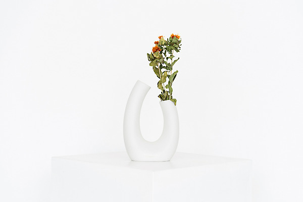 포토 JPG 스튜디오촬영 식물 꽃 백그라운드 건조 실내 사람없음 꽃병 흰색 오브젝트 흰배경 드라이플라워 매리골드 국내포토 컬러 내부 파일형식