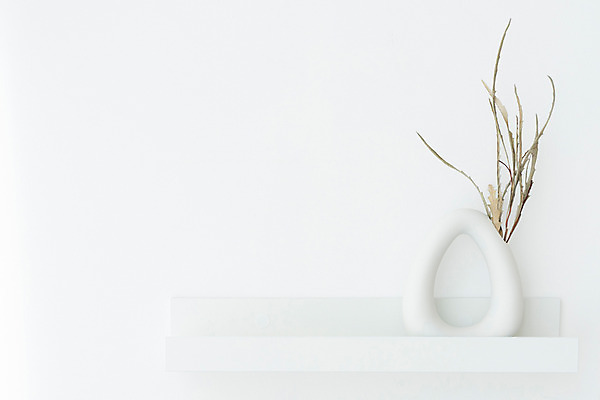 포토 JPG 스튜디오촬영 식물 꽃 백그라운드 건조 실내 사람없음 꽃병 흰색 오브젝트 흰배경 드라이플라워 그레빌리아 국내포토 컬러 내부 파일형식