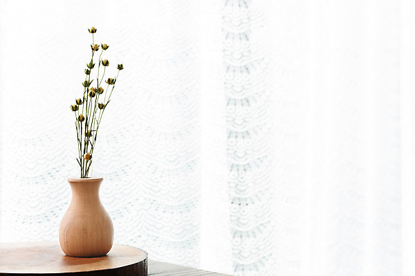 포토 식물 꽃 백그라운드 실내 내부 흰색 파일형식 커튼 드라이플라워 아마 JPG 사람없음 오브젝트 스튜디오촬영 흰배경 꽃병 건조 국내포토