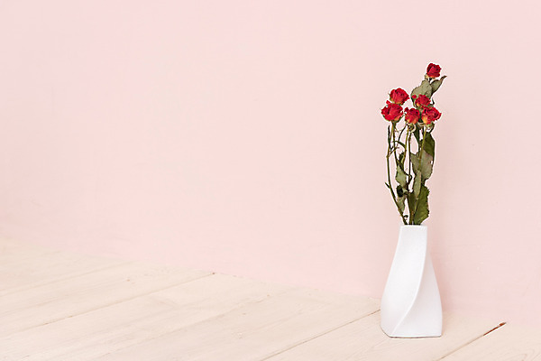 포토 JPG 스튜디오촬영 식물 꽃 건조 실내 사람없음 장미 꽃병 오브젝트 드라이플라워 분홍색배경 국내포토 분홍색 백그라운드 내부 파일형식
