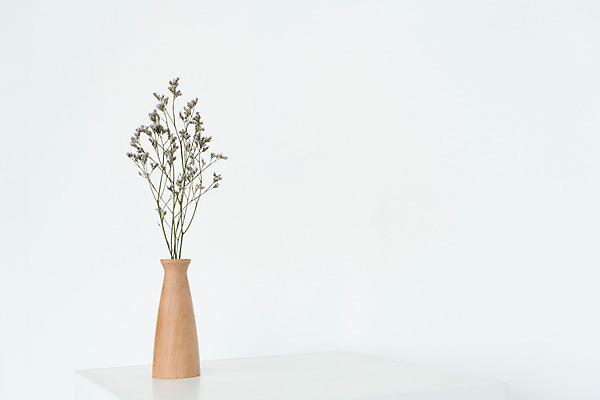 포토 JPG 스튜디오촬영 식물 꽃 백그라운드 건조 실내 사람없음 꽃병 흰색 오브젝트 흰배경 드라이플라워 오하이오블루 국내포토 컬러 내부 파일형식