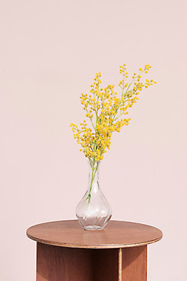 포토 JPG 스튜디오촬영 식물 꽃 건조 실내 사람없음 꽃병 오브젝트 협탁 드라이플라워 분홍색배경 버튼플라워 국내포토 분홍색 가구 백그라운드 내부 파일형식