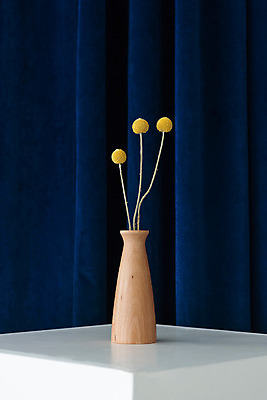 포토 JPG 스튜디오촬영 식물 꽃 건조 실내 사람없음 꽃병 커튼 남색 오브젝트 드라이플라워 골든볼 남색배경 국내포토 컬러 백그라운드 내부 파일형식