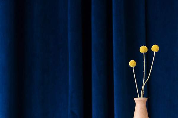 포토 JPG 스튜디오촬영 식물 꽃 건조 실내 사람없음 꽃병 커튼 남색 오브젝트 드라이플라워 골든볼 남색배경 국내포토 컬러 백그라운드 내부 파일형식