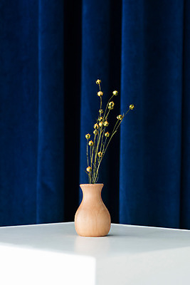 포토 JPG 스튜디오촬영 식물 꽃 건조 실내 사람없음 꽃병 커튼 남색 오브젝트 드라이플라워 아마 남색배경 국내포토 컬러 백그라운드 내부 파일형식