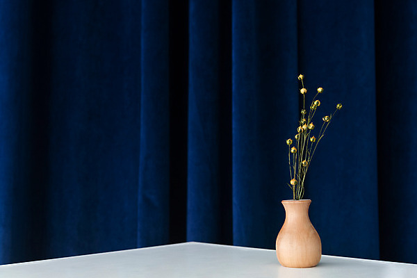 포토 JPG 스튜디오촬영 식물 꽃 건조 실내 사람없음 꽃병 커튼 남색 오브젝트 드라이플라워 아마 남색배경 국내포토 컬러 백그라운드 내부 파일형식