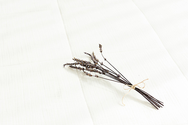 포토 JPG 스튜디오촬영 식물 꽃 건조 실내 사람없음 흰색 다발 오브젝트 흰배경 라벤더 드라이플라워 국내포토 컬러 백그라운드 내부 허브 파일형식