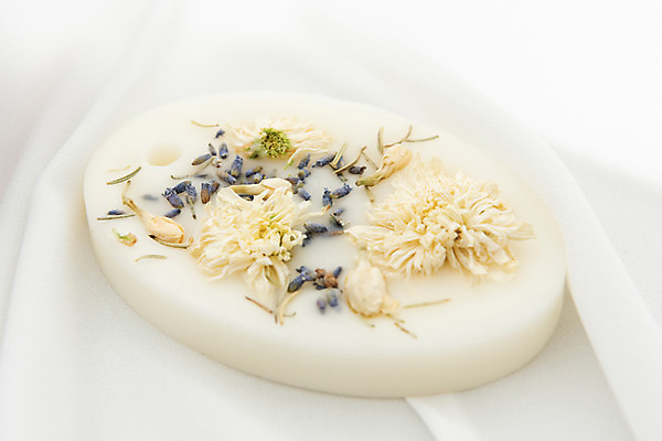 포토 JPG 스튜디오촬영 식물 꽃 건조 실내 사람없음 오브젝트 흰배경 향기 드라이플라워 왁스 국내포토 백그라운드 내부 흰색 냄새 파일형식