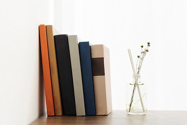 포토 JPG 스튜디오촬영 식물 꽃 책장 건조 실내 사람없음 책 오브젝트 흰배경 드라이플라워 디퓨저 아마 국내포토 가구 백그라운드 내부 흰색 파일형식