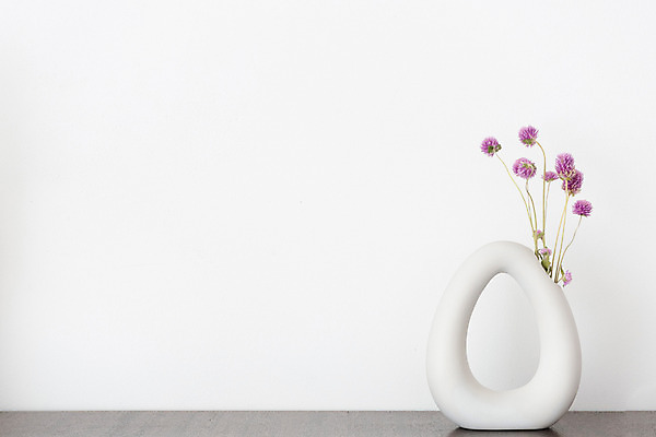 포토 JPG 스튜디오촬영 식물 꽃 백그라운드 건조 실내 사람없음 꽃병 흰색 오브젝트 흰배경 드라이플라워 천일홍 국내포토 컬러 내부 파일형식