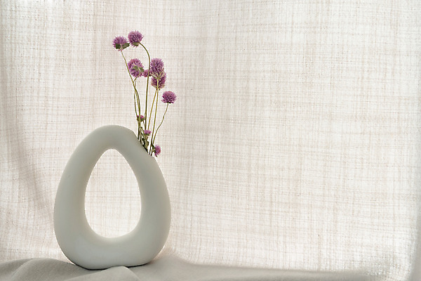 포토 JPG 스튜디오촬영 식물 꽃 건조 실내 사람없음 꽃병 천 오브젝트 드라이플라워 천일홍 국내포토 내부 직물 파일형식