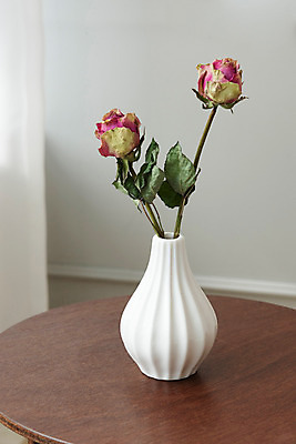 포토 JPG 스튜디오촬영 식물 꽃 탁자 건조 실내 사람없음 장미 꽃병 오브젝트 드라이플라워 국내포토 가구 내부 파일형식