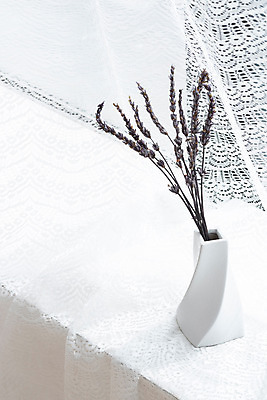 포토 JPG 스튜디오촬영 식물 꽃 백그라운드 건조 실내 사람없음 꽃병 흰색 커튼 오브젝트 흰배경 라벤더 드라이플라워 국내포토 컬러 내부 허브 파일형식