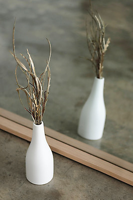 포토 JPG 스튜디오촬영 식물 꽃 건조 실내 사람없음 꽃병 거울 오브젝트 드라이플라워 그레빌리아 국내포토 내부 파일형식