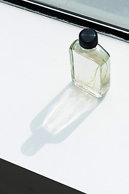 포토 JPG 스튜디오촬영 식물 꽃 건조 실내 그림자 사람없음 창가 오브젝트 드라이플라워 디퓨저 국내포토 창문 내부 파일형식