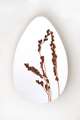 포토 JPG 스튜디오촬영 식물 꽃 건조 실내 사람없음 흰색 구멍 오브젝트 흰배경 드라이플라워 수수 국내포토 컬러 백그라운드 내부 파일형식