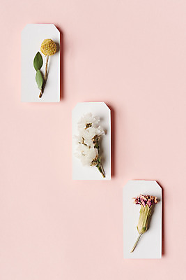 포토 JPG 스튜디오촬영 식물 꽃 건조 실내 선물 사람없음 하이앵글 꼬리표 카네이션 오브젝트 드라이플라워 네임텍 유칼립투스 플랫레이 골든볼 분홍색배경 국내포토 뷰포인트 분홍색 백그라운드 내부 라벨 플랫 파일형식