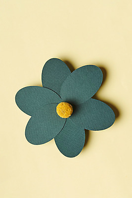 포토 JPG 스튜디오촬영 식물 꽃 건조 실내 사람없음 하이앵글 노란색 페이퍼아트 오브젝트 드라이플라워 노란배경 플랫레이 골든볼 국내포토 뷰포인트 컬러 백그라운드 내부 플랫 파일형식