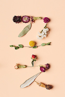 포토 JPG 스튜디오촬영 식물 열매 꽃 나뭇잎 건조 실내 사람없음 단어 하이앵글 장미 모형 오브젝트 드라이플라워 유칼립투스 플랫레이 골든볼 코랄배경 국내포토 문자 뷰포인트 백그라운드 잎 내부 플랫 파일형식 코랄