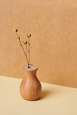 포토 JPG 스튜디오촬영 나무 식물 꽃 건조 실내 사람없음 꽃병 오브젝트 드라이플라워 아마 갈색배경 국내포토 백그라운드 내부 갈색 파일형식