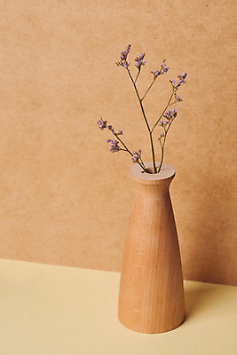 포토 JPG 스튜디오촬영 나무 식물 꽃 건조 실내 사람없음 꽃병 오브젝트 드라이플라워 갈색배경 오하이오블루 국내포토 백그라운드 내부 갈색 파일형식