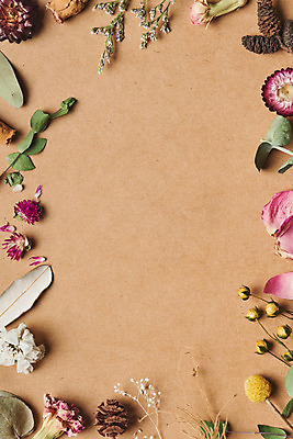 포토 JPG 스튜디오촬영 식물 열매 꽃 나뭇잎 프레임 건조 실내 사람없음 하이앵글 카네이션 오브젝트 드라이플라워 아마 유칼립투스 플랫레이 골든볼 갈색배경 천일홍 오하이오블루 오리나무열매 국내포토 뷰포인트 백그라운드 잎 내부 갈색 플랫 파일형식