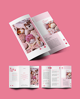 템플릿 표지디자인 표지 ZIP 내지 리플렛 분홍색 3단접지 조개 팜플렛 사람없음 여러개 원형 인디자인 INDD 이미지템플릿 도형 컬러 다수 어패류 파일형식