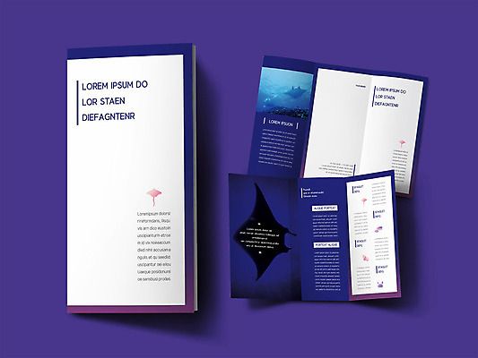 동물 템플릿 표지디자인 표지 ZIP 내지 리플렛 3단접지 팜플렛 사람없음 보라색 바닷속 가오리 인디자인 INDD 이미지템플릿 컬러 어류 수중 파일형식