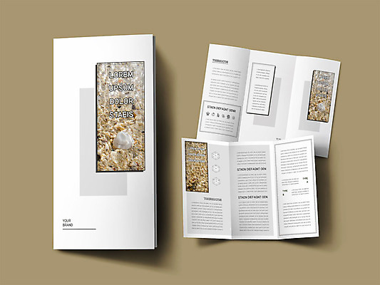 템플릿 표지디자인 표지 ZIP 내지 리플렛 바다 3단접지 조개 팜플렛 사람없음 갈색 바닷속 분포 인디자인 INDD 이미지템플릿 컬러 어패류 수중 파일형식