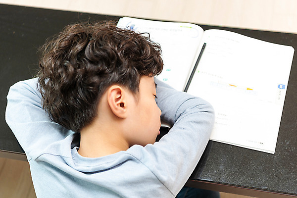 포토 JPG 남자 초등학생 어린이 엎드리기 방학 실내 피곤 한명 상반신 뒷모습 10대 하이앵글 한국인 잠 사회이슈 예방 감염 개학 온라인강의 홈스쿨 홈스쿨링 소년한명만 사회적거리두기 휴교 원격수업 언스쿨링 국내포토 1 학생 교육 캠페인 뷰포인트 컨셉 학교 모션 청소년 휴가 사람 동양인 내부 강의 원격 남자한명만 소년만 파일형식 언택트