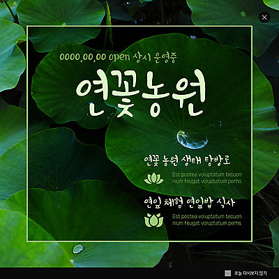 PSD 템플릿 ZIP 웹템플릿 팝업 이벤트팝업 웹팝업 연꽃 사람없음 초록색 농장 체험 연잎 생태공원 빅팝업 이미지템플릿 공원 꽃 컬러 컨셉 잎 농업 파일형식