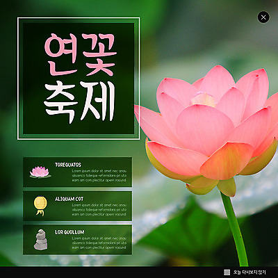 PSD 템플릿 ZIP 웹템플릿 팝업 이벤트팝업 웹팝업 연꽃 사람없음 초록색 연잎 연등 연꽃축제 빅팝업 이미지템플릿 꽃 컬러 잎 등불 불교용품 꽃축제 파일형식