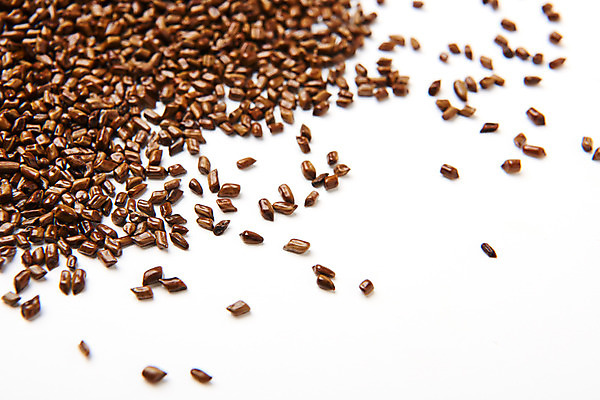 포토 JPG 스튜디오촬영 실내 건강 사람없음 여러개 약재 흰배경 율무 한방차 국내포토 다수 백그라운드 내부 차_음료 약 흰색 전통차 파일형식