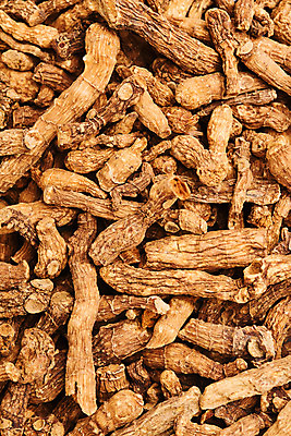 포토 JPG 스튜디오촬영 건조 실내 건강 근접촬영 사람없음 하이앵글 여러개 약재 둥글레 한방차 플랫레이 둥글레차 국내포토 뷰포인트 다수 내부 차_음료 약 플랫 전통차 파일형식