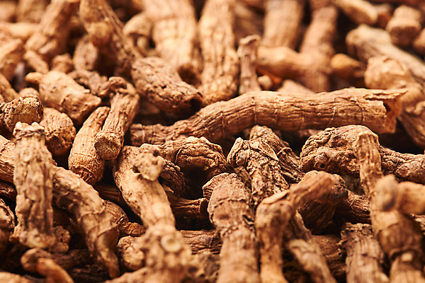 포토 JPG 스튜디오촬영 건조 실내 건강 근접촬영 사람없음 여러개 약재 둥글레 한방차 둥글레차 국내포토 뷰포인트 다수 내부 차_음료 약 전통차 파일형식