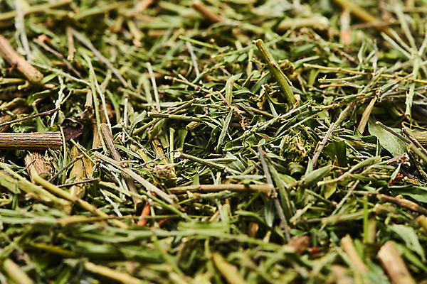 포토 JPG 스튜디오촬영 실내 건강 근접촬영 사람없음 여러개 약재 한방차 야관문 국내포토 뷰포인트 다수 내부 차_음료 약 전통차 약초 파일형식