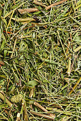 포토 JPG 스튜디오촬영 실내 건강 근접촬영 사람없음 하이앵글 여러개 약재 한방차 플랫레이 야관문 국내포토 뷰포인트 다수 내부 차_음료 약 플랫 전통차 약초 파일형식